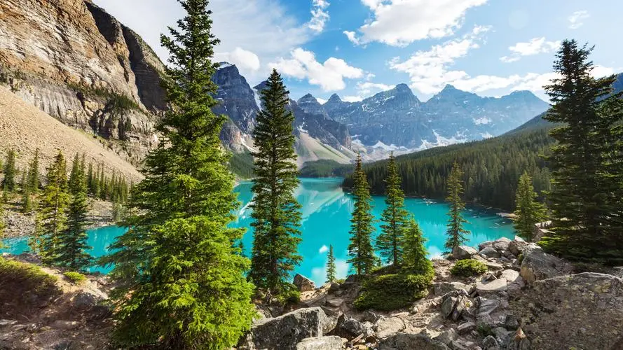 科技全自动网络化